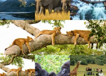 Uganda, My Motherland: Where Every Journey Feels Like a Discovery