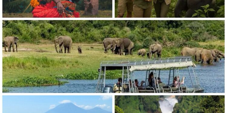 Why Uganda Inspires Every Visitor