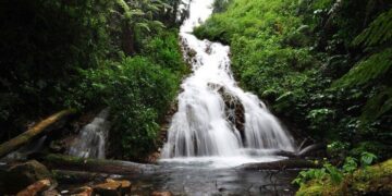 Uganda, My Motherland: Discover the Beauty and Wonders of the Pearl of Africa