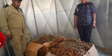 Police Seize 100kg of Marijuana in Arua Bus Terminal Crackdown