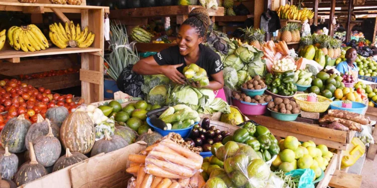 SMEs: Driving Uganda’s Economic Growth and Global Prosperity