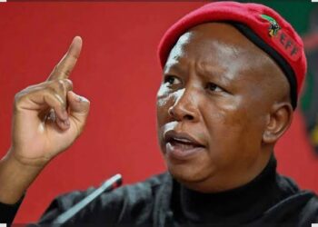 Malema sentenced to five years over firearm case, allowed to appeal