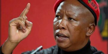 Malema sentenced to five years over firearm case, allowed to appeal