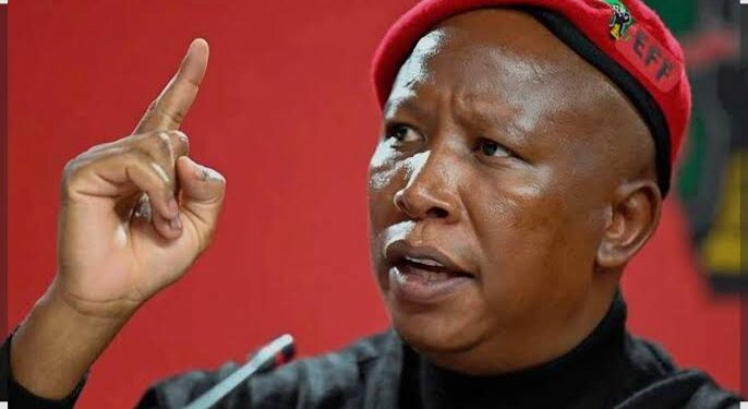 Malema sentenced to five years over firearm case, allowed to appeal