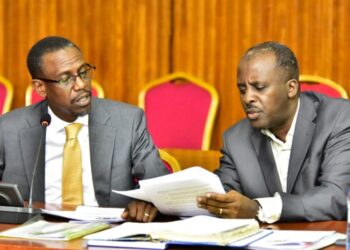 Government Drops Diaspora Clause in Revised Sovereignty Bill