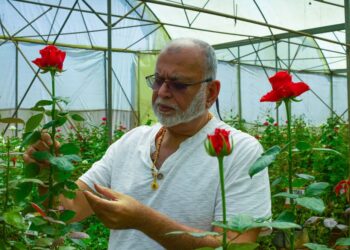 Scammers Exploit Sudhir Ruparelia’s Name in Fake Profit Scheme