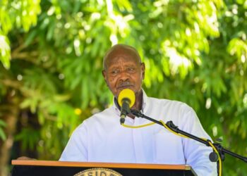 Ugandan Tourism Operator Appeals to Museveni Over Travel Advisory Impact on Sector