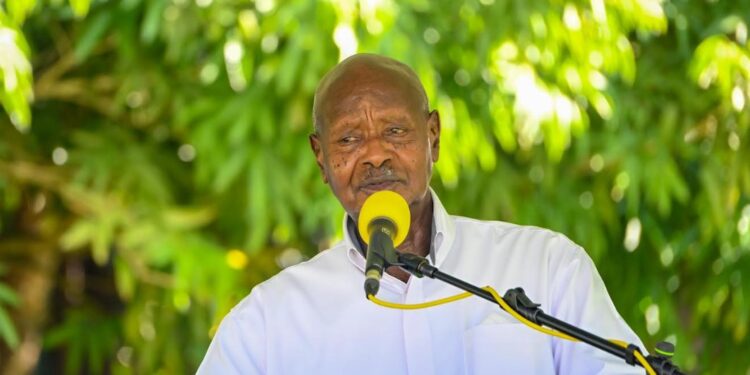 Ugandan Tourism Operator Appeals to Museveni Over Travel Advisory Impact on Sector