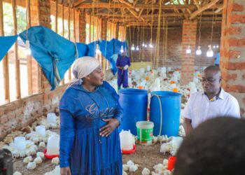 From 200 Chicks to 7,000 Birds: ONC Beneficiary Builds Poultry Enterprise Worth Millions
