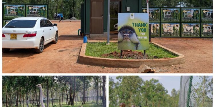 UWA Expands Conservation Reach With New Regional Wildlife Education Centres