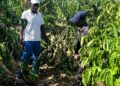 From Survival to Growth: How PDM is Reshaping Livelihoods in Mubende District