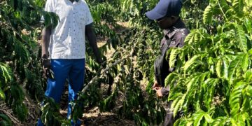 From Survival to Growth: How PDM is Reshaping Livelihoods in Mubende District