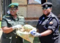 Entebbe Airport Security Lauded After Wildlife Contraband Seizure