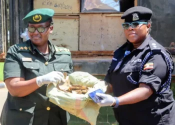 Entebbe Airport Security Lauded After Wildlife Contraband Seizure
