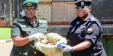 Entebbe Airport Security Lauded After Wildlife Contraband Seizure
