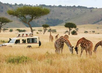 Uganda Safe for Travel Despite Imported Ebola Cases, UTB Reassures Tourists
