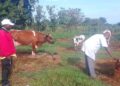 ONC Monitoring Highlights Rising Household Incomes and Business Growth Among Ngora PDM Beneficiaries