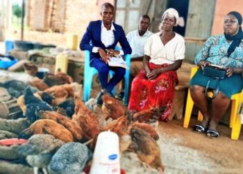 ONC PDM Monitoring Highlights Success: UGX 1 Million Transforms Poultry Enterprise in Kaliro District