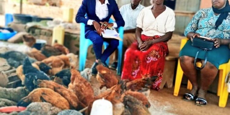 ONC PDM Monitoring Highlights Success: UGX 1 Million Transforms Poultry Enterprise in Kaliro District