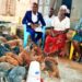 ONC PDM Monitoring Highlights Success: UGX 1 Million Transforms Poultry Enterprise in Kaliro District