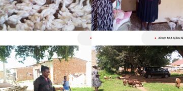 ONC Monitoring Reveals Rising Incomes and Enterprise Growth Among Soroti PDM Beneficiaries