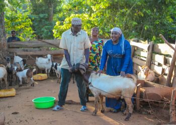 ONC Empowerment Programme Transforms Livelihoods as Hajjat Namyalo Finds Beneficiaries Recording Business Growth in Luwero