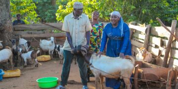 ONC Empowerment Programme Transforms Livelihoods as Hajjat Namyalo Finds Beneficiaries Recording Business Growth in Luwero