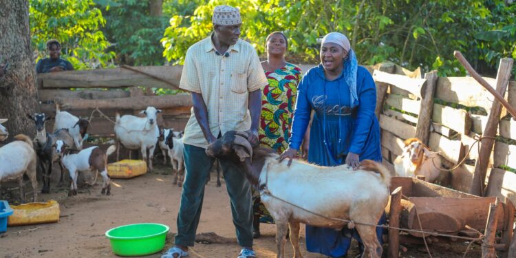 ONC Empowerment Programme Transforms Livelihoods as Hajjat Namyalo Finds Beneficiaries Recording Business Growth in Luwero