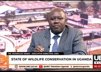 Dr Musinguzi Clarifies Licensed Wild Meat Imports as UWA Defends Wildlife Utilisation Policy