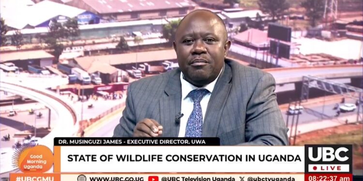 Dr Musinguzi Clarifies Licensed Wild Meat Imports as UWA Defends Wildlife Utilisation Policy