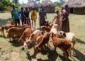 ONC Monitoring in Serere Shows PDM Boosting Incomes as Beneficiaries Expand Enterprises