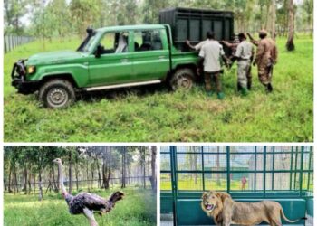 UWA Set to Open First Regional Zoo in Mbale