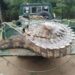 UWA Relocates Man-Eating Crocodile from Kitagwenda, Bringing Relief to Lake George Communities