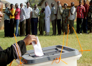 Grassroots Polls: MPs Push for Public Holiday to Boost Voter Turnout