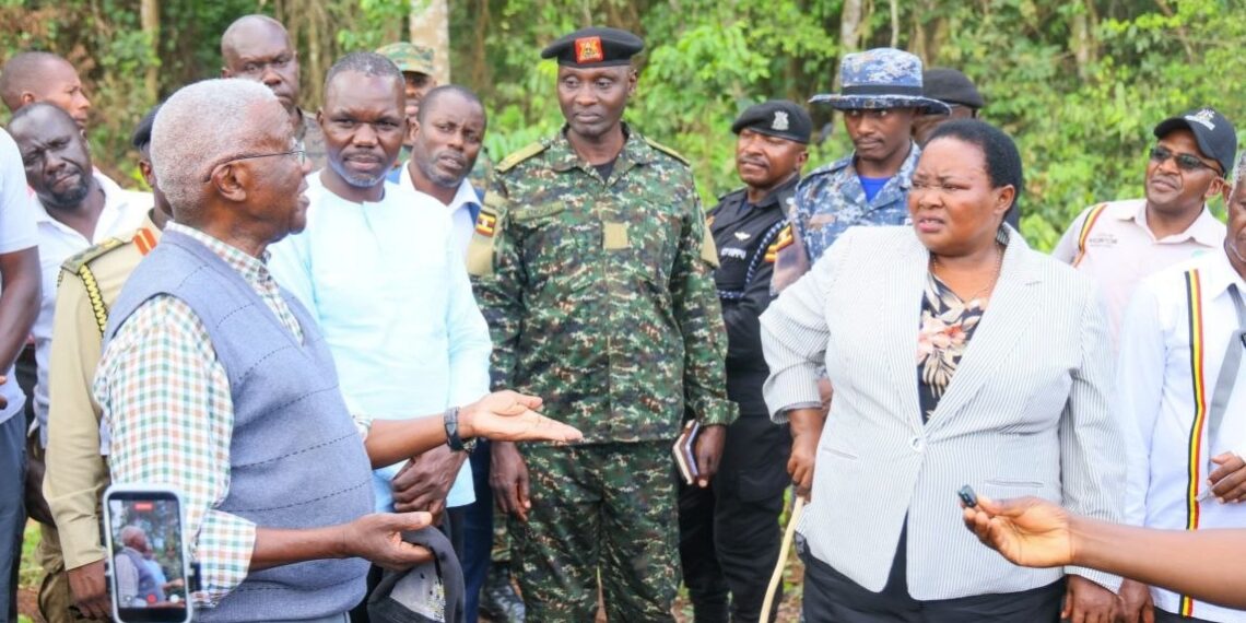 UWA Assumes Temporary Management of Bugoma, Echuya and Bukaleba Forest Reserves