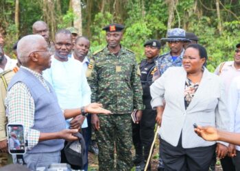 UWA Assumes Temporary Management of Bugoma, Echuya and Bukaleba Forest Reserves