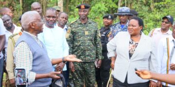 UWA Assumes Temporary Management of Bugoma, Echuya and Bukaleba Forest Reserves
