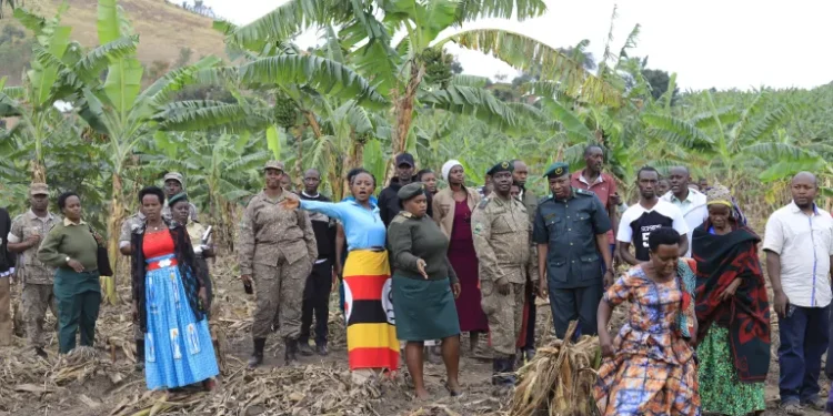 UWA Engages Kiruhura Residents as Buffaloes Destroy Crops, Compensation Concerns Emerge