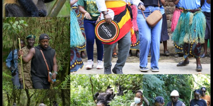 UWA Takes Influencers on Gorilla, Golden Monkey Treks Ahead of 2026 Festival