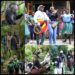 UWA Takes Influencers on Gorilla, Golden Monkey Treks Ahead of 2026 Festival