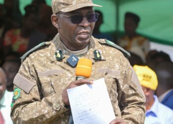 Government Pledges to Curb Human-Wildlife Conflict as UWA Marks World Gorilla Day