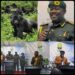 UWA Launches 2026 Mountain Gorilla Festival to Boost Conservation, Tourism & Community Livelihoods